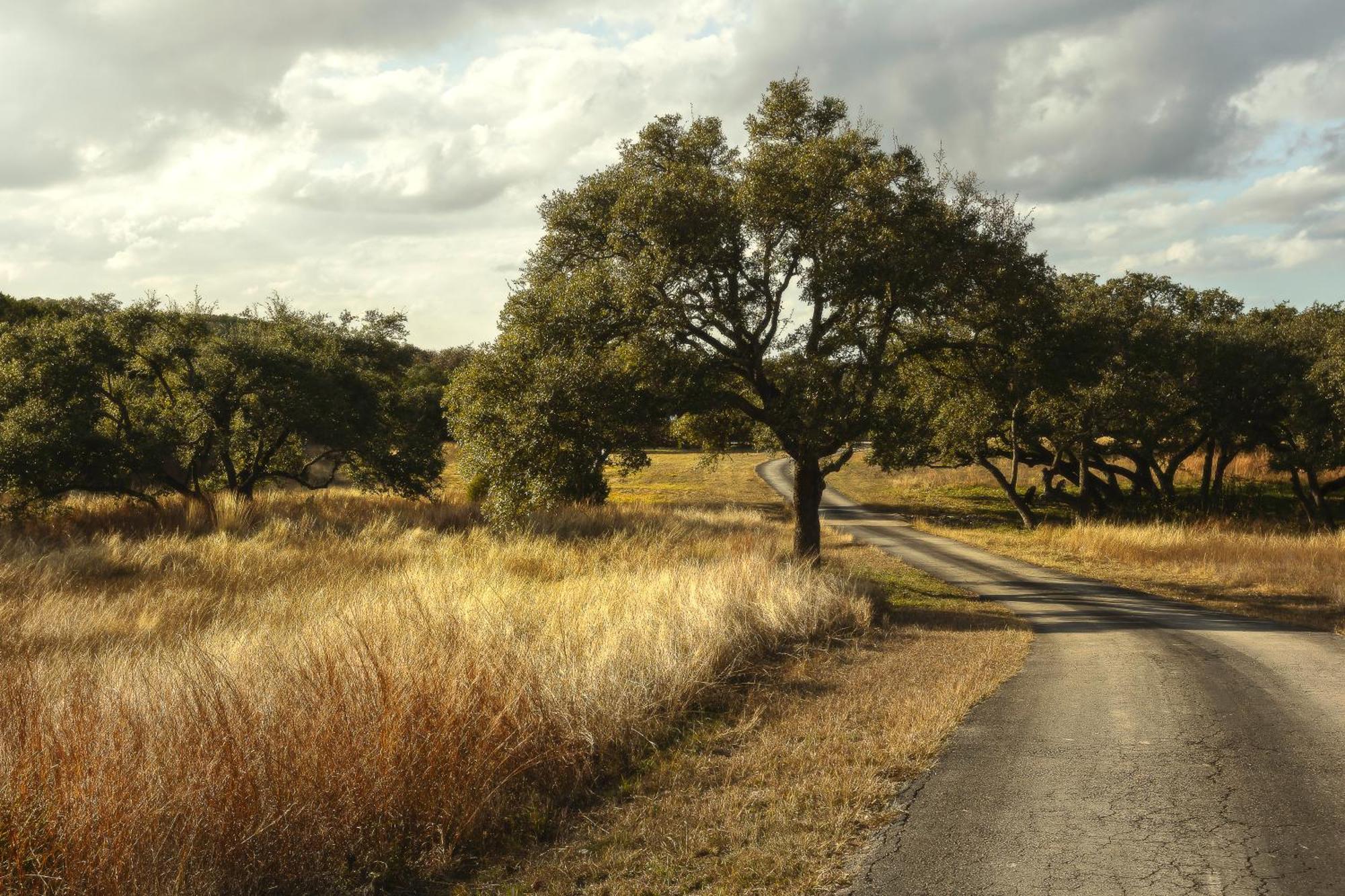 Blair House Inn And Spa Wimberley Esterno foto
