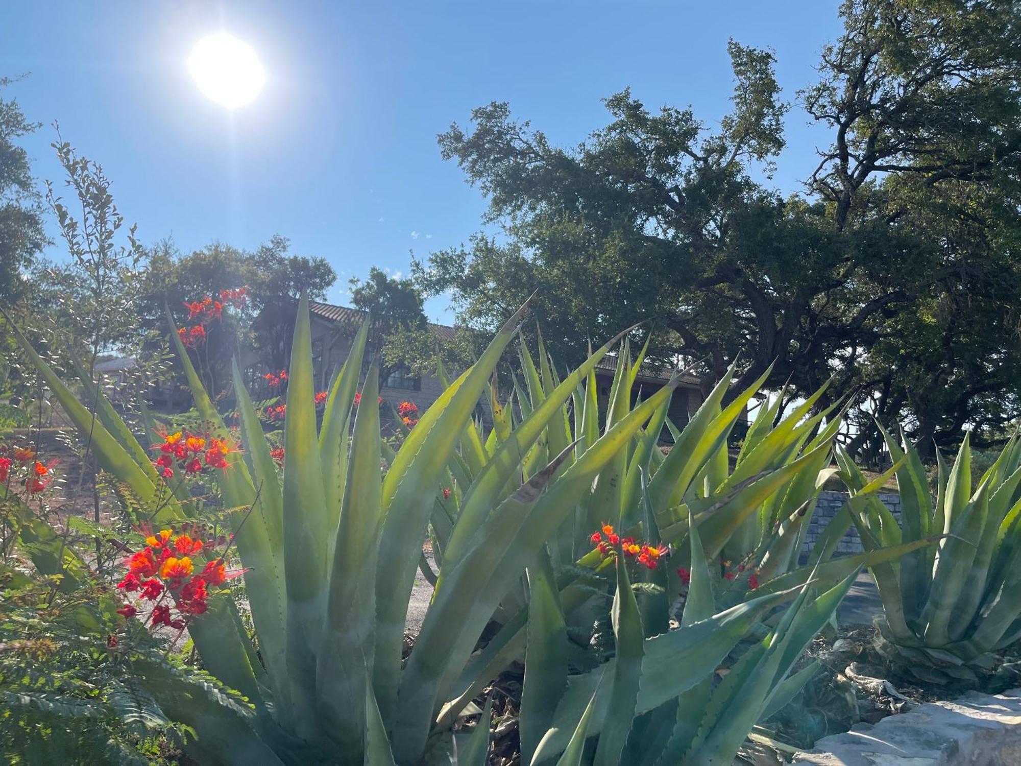 Blair House Inn And Spa Wimberley Esterno foto